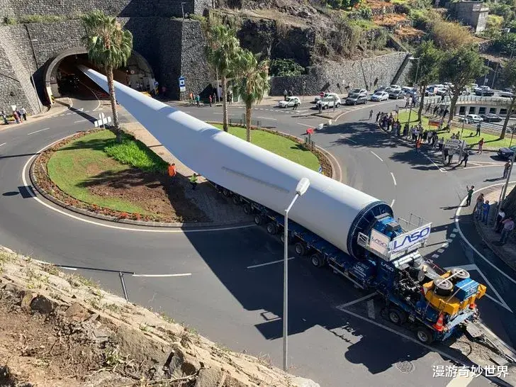 漫游奇妙世界|不比不知道，一只蝌蚪居然能长这么大