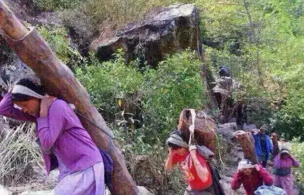 |那些文玩圈背后你不知道的事情