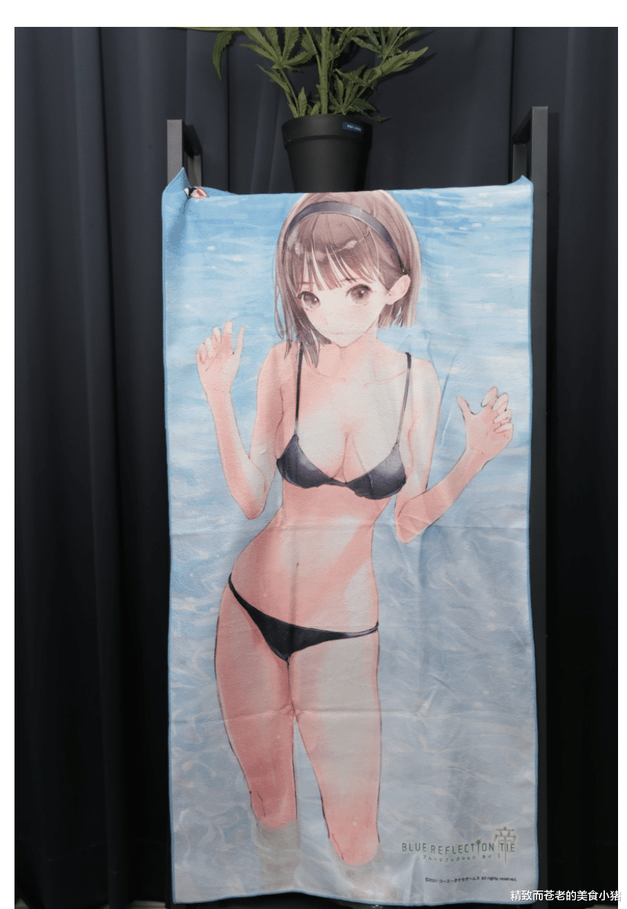 vg战队|《Blue Reflection 帝》上市,附赠满满 JK 的典藏版开「香」