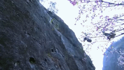 武侠剧|旋转跳跃慢镜头！打戏已经变味至此？