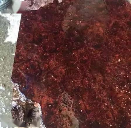 红木|有些红木，光看外表可不够！