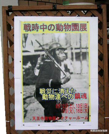 二戰末期，日本屠殺全國動物園，隻有兩頭大象在名古屋被偷偷保住-圖5