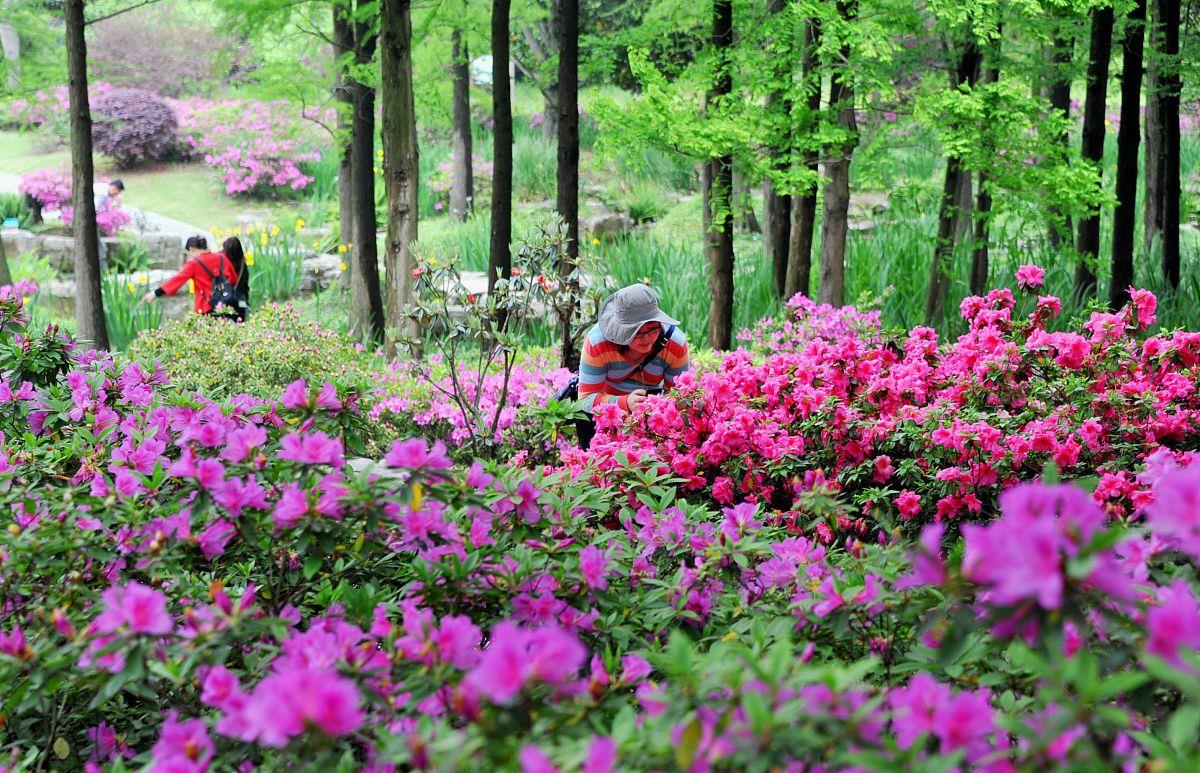 山西省 国内“良心”景区，门票加食宿花费不到百元，从未听过有宰客现象