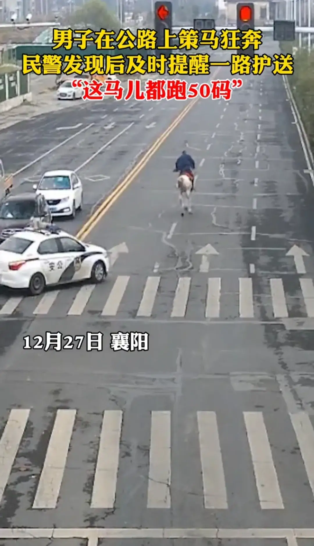 马路上骑大白马狂奔,警察:大爷请留步!