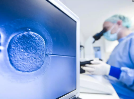 甜丁|第三代试管成功率和哪些因素有关