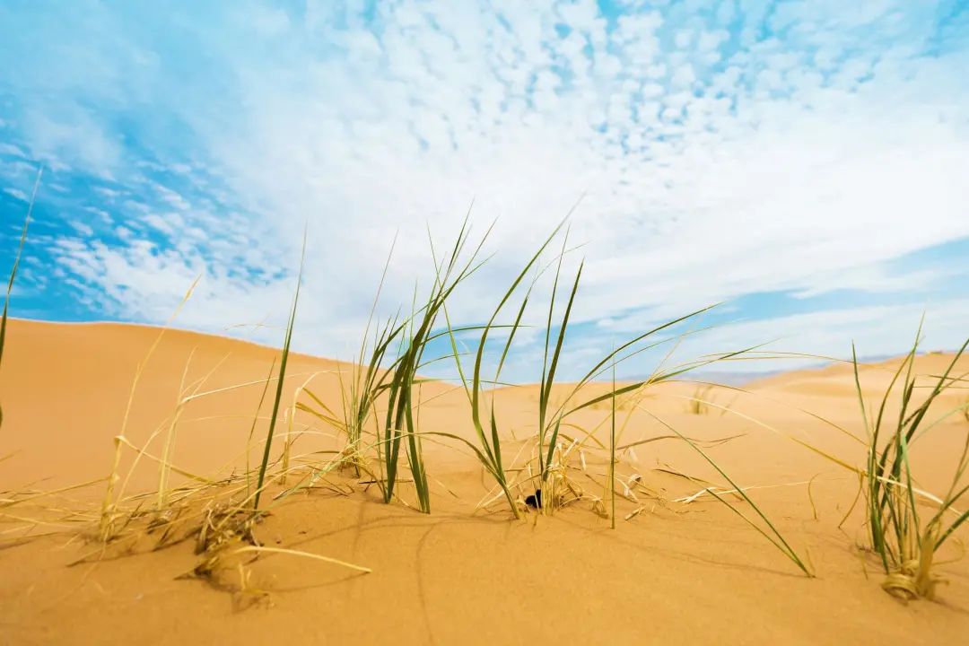 公明易学|做最好的自己