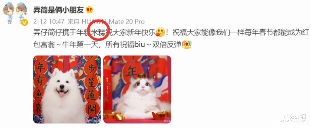 孙雨|By2孙雨吞药轻生?医院人员爆料:疑不堪网络暴力,食用褪黑素!