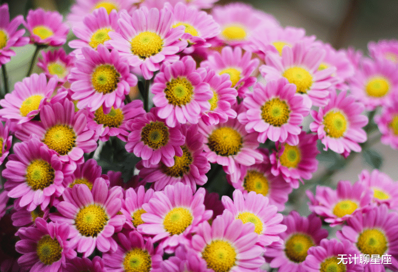 无计聊星座 10月下旬，4个星座，日子大吉大利，朋友多，爱情甜，工作顺