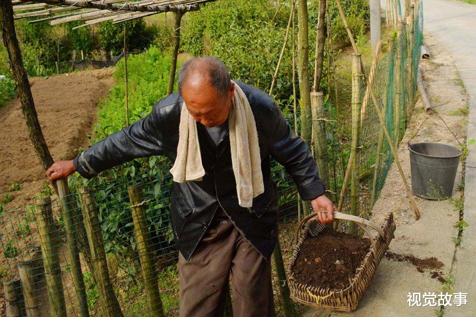 视觉故事 8旬夫妻住“四合院”40年，种一块地需3天，看儿子为啥不高兴