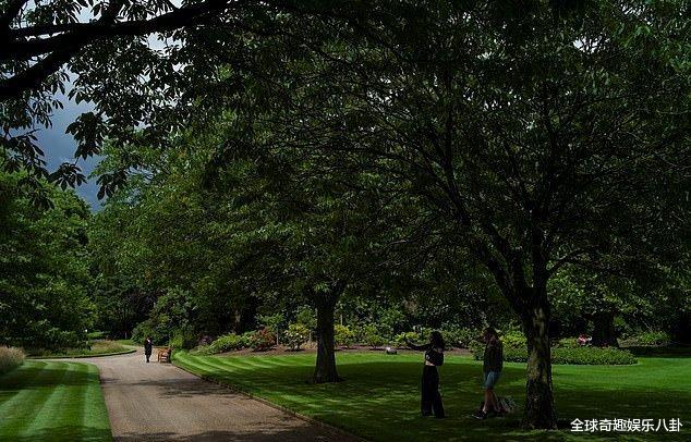 白金汉宫|英国白金汉宫后花园开放，游客去过之后吐槽：打劫！