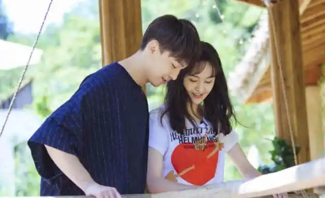 郑爽|郑爽庭审自爆多个大瓜，这也太绝了吧