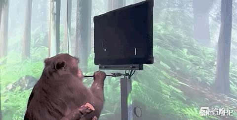 量子力学 元宇宙,人类最后的迁徙