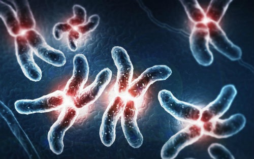 甜丁|试管婴儿第三代PGD技术是怎么回事