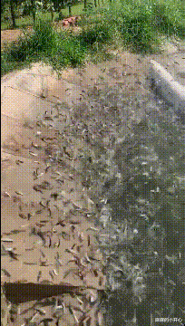 |“从领导办公室出来的女同事，这衣服怎么还穿反了？”这是要升职了啊