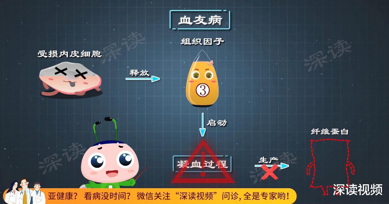 鼻血止不住?一查竟是血友病?咋回事?血友病发病机制动漫版,燃