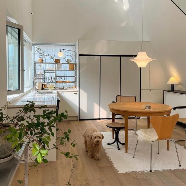 90后韩国女主晒独居生活照:悠闲精致,在她家看见岁月静好的模样