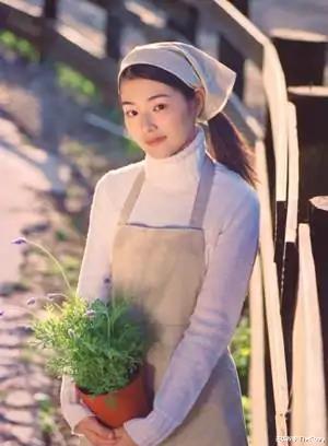 林韦君|20年前比《流星花园》还火,如今主演全糊了,小龙套反成收视女王