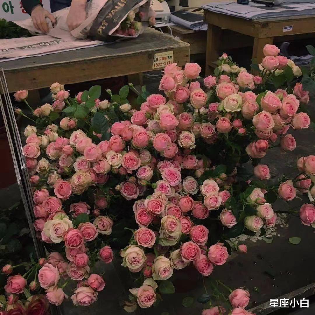 星座小白|看似是金刚一枚，其实啥事儿都是硬扛的星座