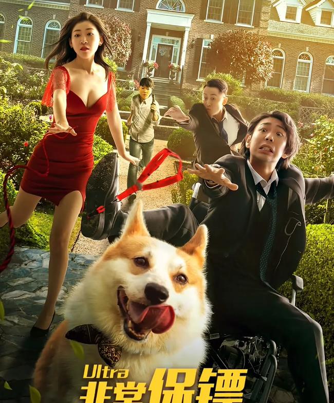 陈媛说 毛骗团队首部电影“非常保镖”上线，坐着轮椅的保镖，你见过吗？