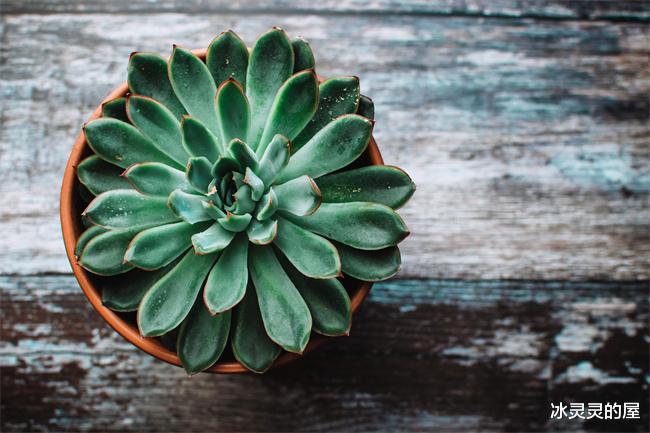 生肖|5大生肖5月下旬开始，正财不断，横财大发，财旺事业旺