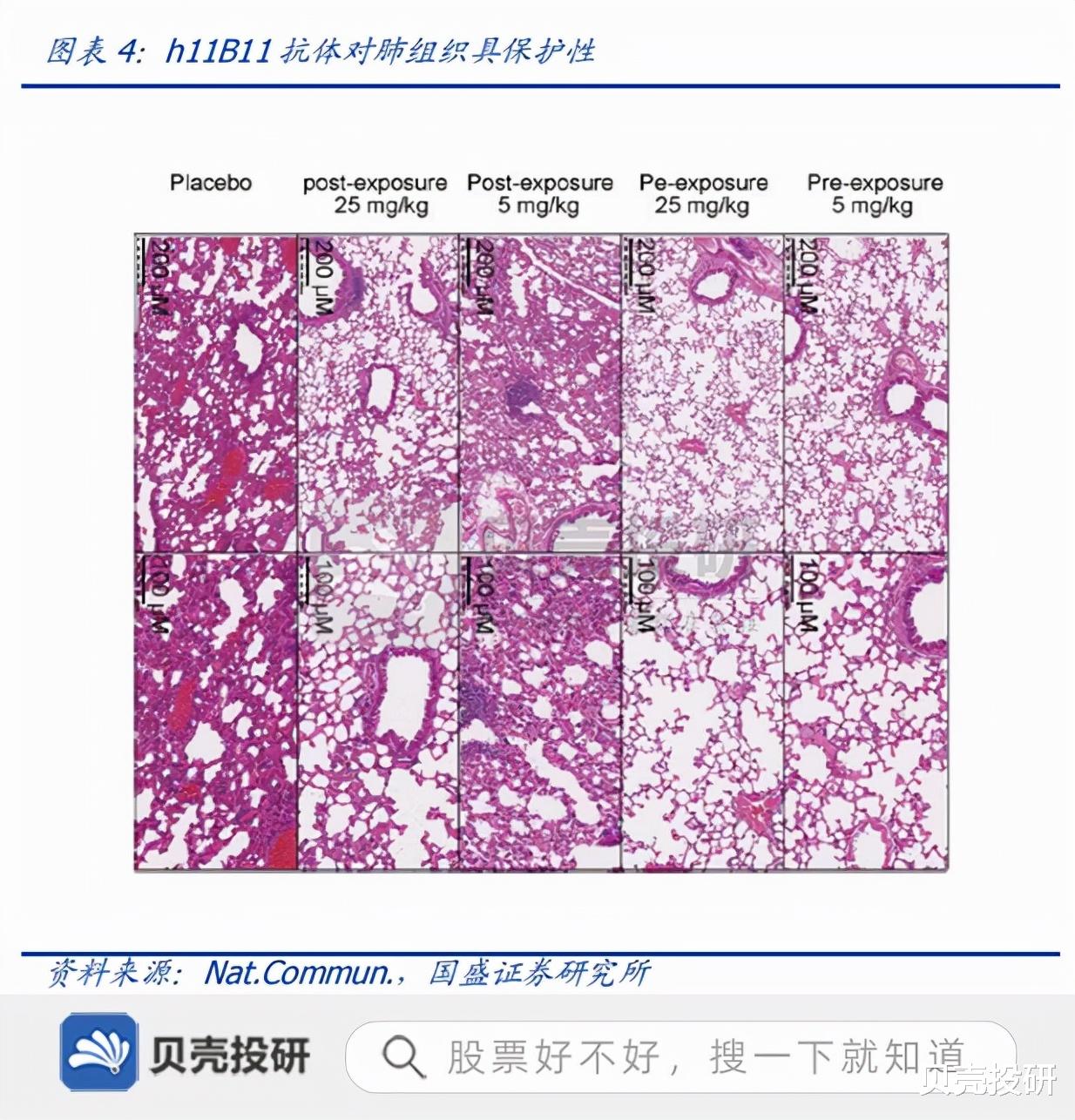 空间站 君实生物：研发成果捷报频传，国际化步伐锐不可当