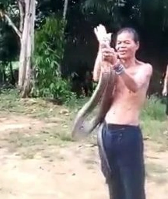 作死！印尼男炫耀耍蛇技巧，將眼鏡王蛇旋來繞去，直接被兩口咬死-圖2