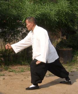 传人释读太极拳|杨式太极拳的“捶法”演练特点
