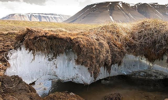  北极频现史前生物遗骸，科学家感觉到不安！地球潘多拉魔盒开了？