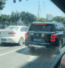 动物庄园|“给你500万，一年之内必须完成下面一个任务，你会怎么选？”