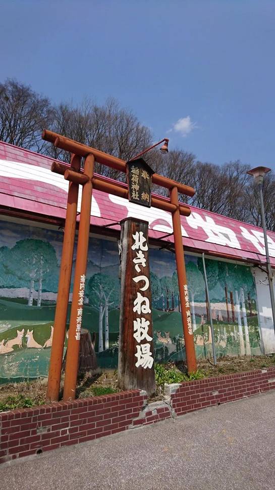 底层好声音 男子路边捡了一只“小狗”,越养越不对劲,兽医劝他赶紧送走