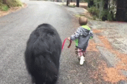 黑洞 逗乐GIF：这就是我的定力，物理不是白学的，牛顿都服我！