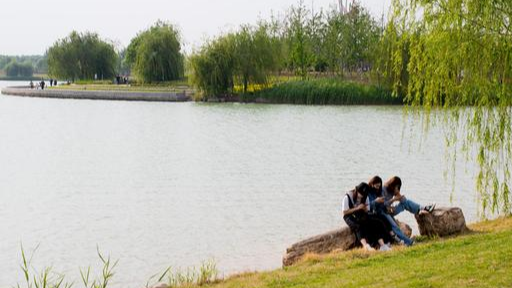 一优优音乐 济南又增一市花,让我们走进平阴