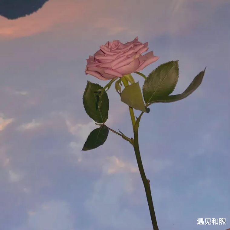遇见和煦 女人想要挽回另一半的心，不必每日讨好，记住这3个字就可以了