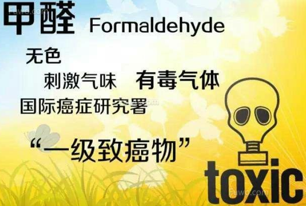甲醛|深度解读丨甲醛释放量检测