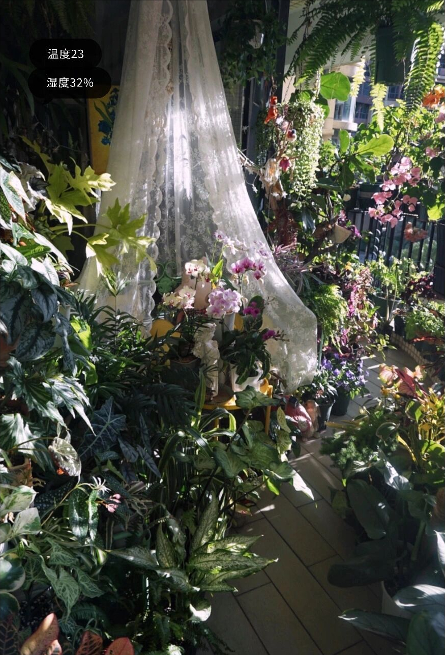 12㎡小阳台“造花园”,光照不足2小时的阳台,也能美成仙境!