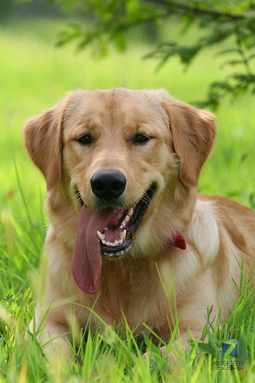 手机摄影|嗨森课堂：简单九招掌握手机摄影的窍门