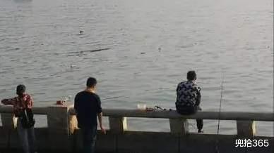 广东省|广东一男子意外钓获大嘴鱼，原以为解密了新物种，结果却哭笑不得