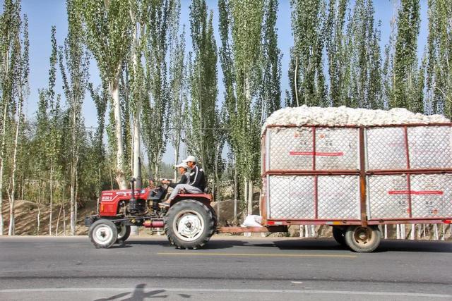 西方碰瓷新疆棉花，反而讓中國大賺特賺？中方強硬做出回應-圖4