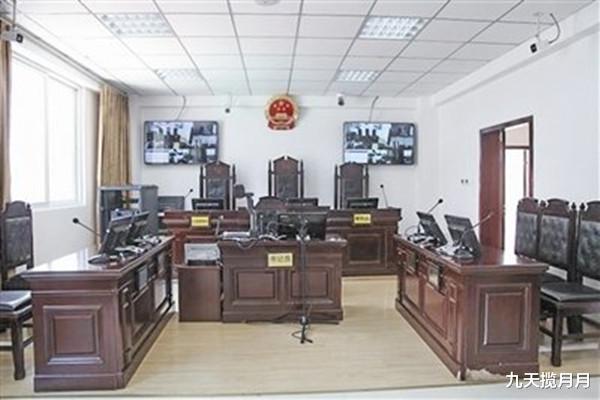 九天揽月月|19岁的妹妹雇人撞死亲哥，为给父母留活路，家破人亡