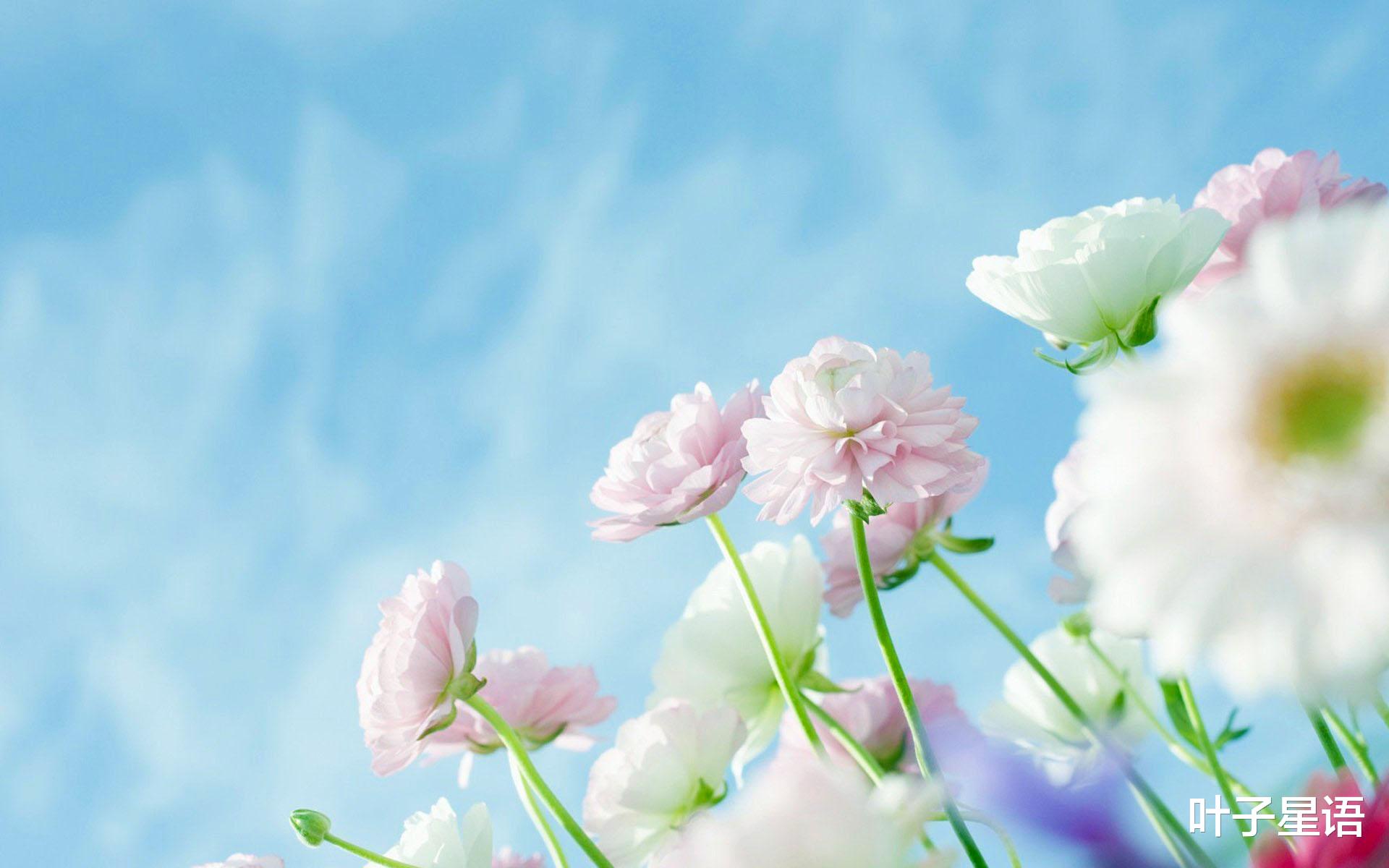 处女座|2021上半年，事业重新洗牌的星座，曾经跌入谷底，现在爬到巅峰