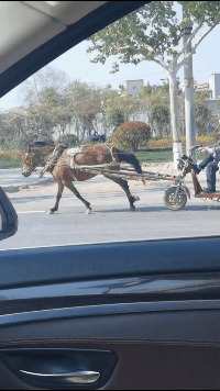 时尚炫点 白素贞飞行的时候为什么要把一只手往前伸？原来是这样...