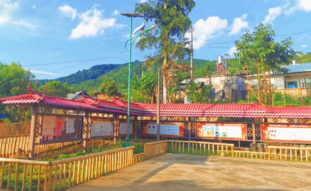 西盟快报 乡村振兴：新厂镇小篱笆，“围出”大幸福