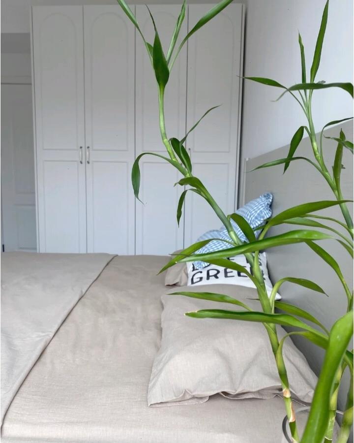 |业主的72㎡新家，“家徒四壁”却还坚持断舍离，越简单越舒适