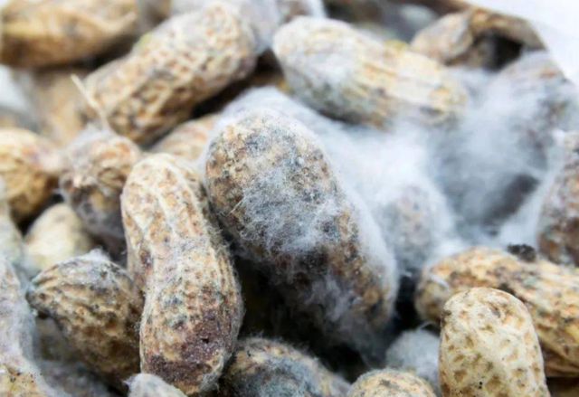 致癌物|世卫公布的“一级致癌物”，很多人不舍得扔，提醒：管住嘴，莫疏忽