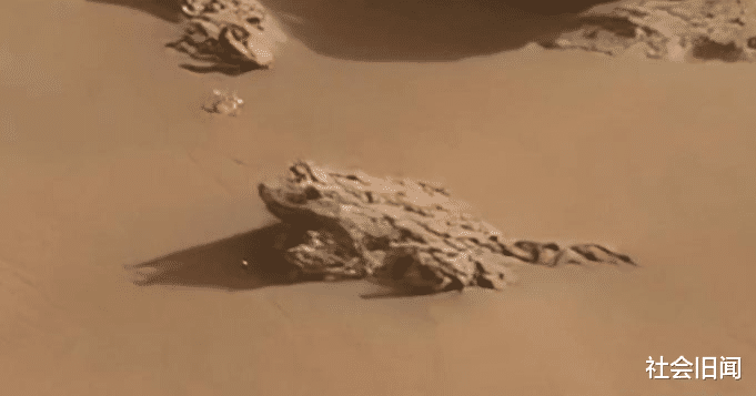美国探测器成功登录火星,拍下一系列诡异照片,疑似有爬行生物存在