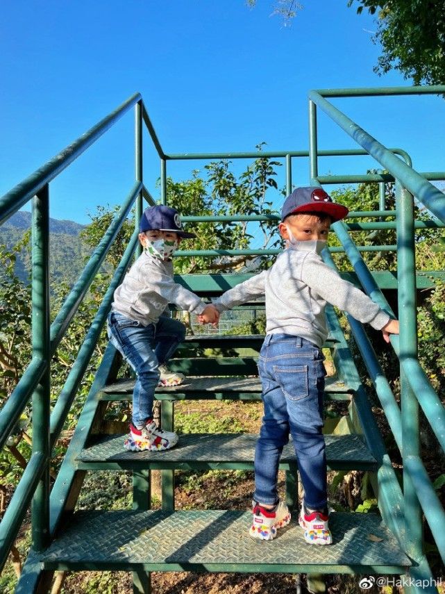 胡杏儿|胡杏儿俩儿子陪爷爷散步，兄弟俩牵手下台阶，和爸爸穿亲子装超萌