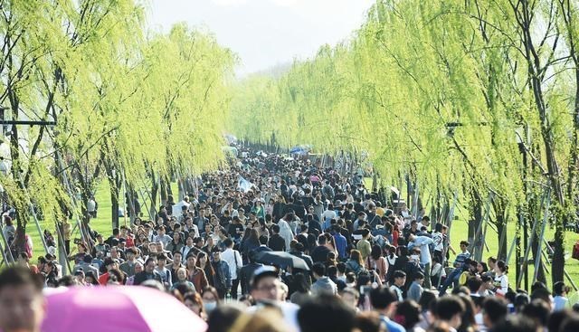 厦门 谜一样的五一旅游数据，各省旅游总收入竟然是全国的4倍以上