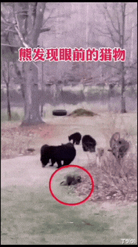 丁剑剑|“再好的发型也无法拯救颜值的差距！”这个也太扎心了吧，哈哈哈