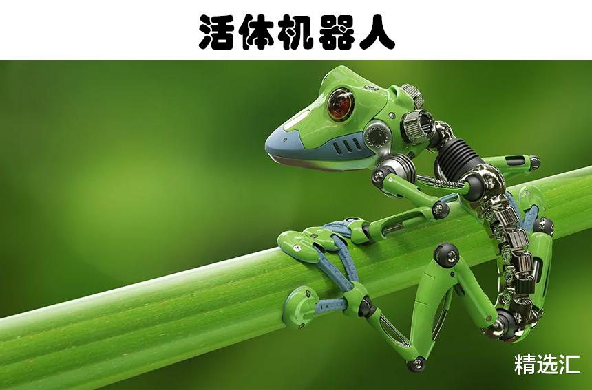 机器人|元宇宙是什么？在未来可能改变世界的5个的新兴技术