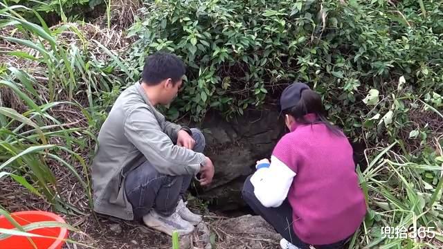 |广西年轻夫妻俩组团野钓，小洞口里藏着米级大鲶鱼，最终遗憾回家